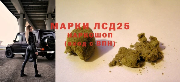 СК Аркадак