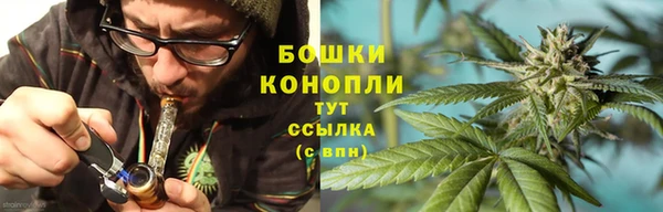 СК Аркадак