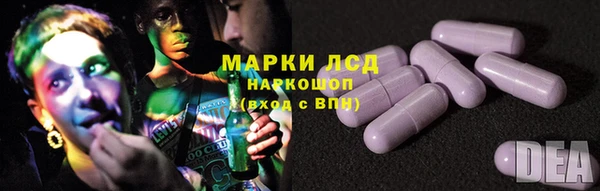 СК Аркадак