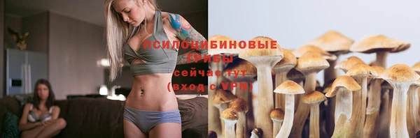 соль курить ск Арсеньев